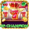 347luck - VIP Champion
