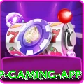 758g VIP Gaming App